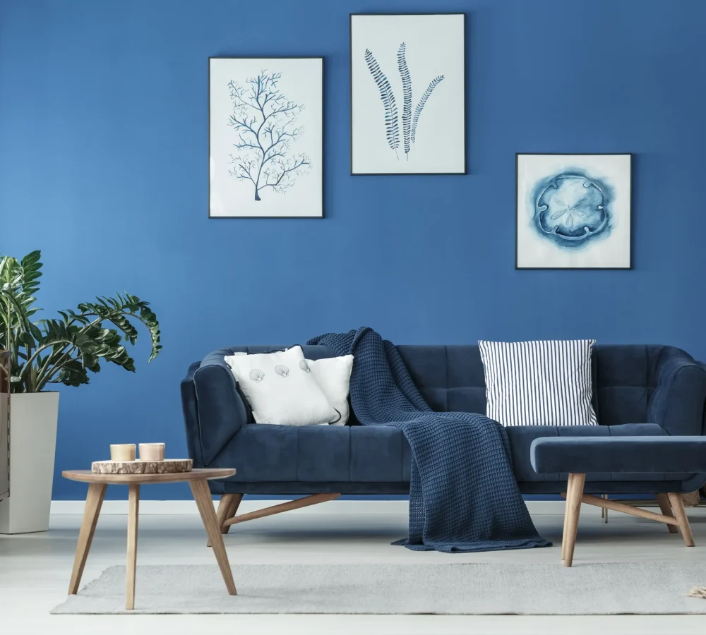 blue-interior-featuring-couch-and-wall-decorations-2026-01-05-22-55-01-utc