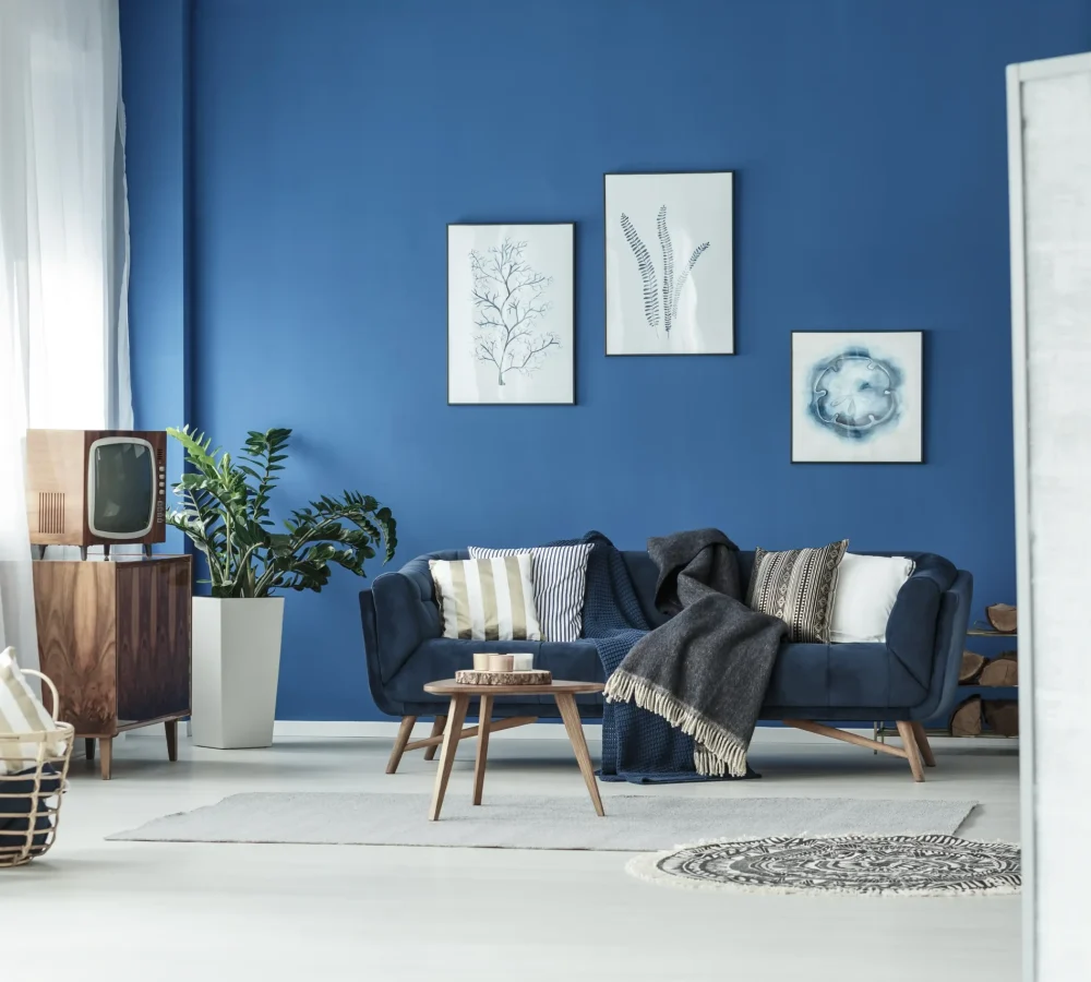 comfortable-living-room-with-blue-wall-and-couch-2026-01-05-06-08-18-utc